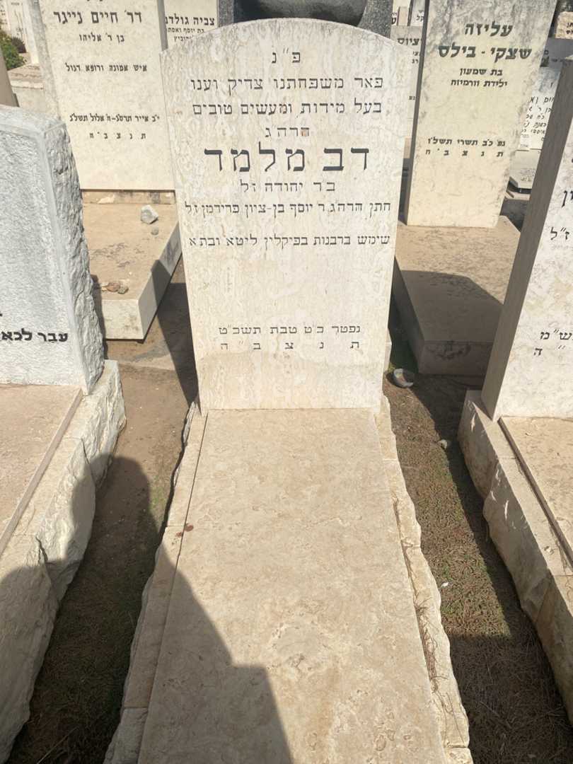 קברו של דב מלמד. תמונה 1