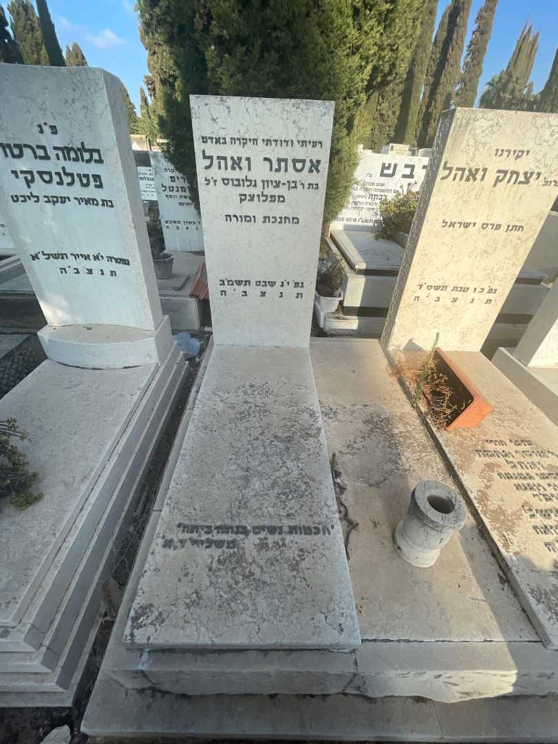 קברו של אסתר ואהל. תמונה 2