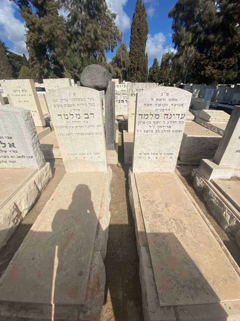 קברו של דב מלמד. תמונה 2