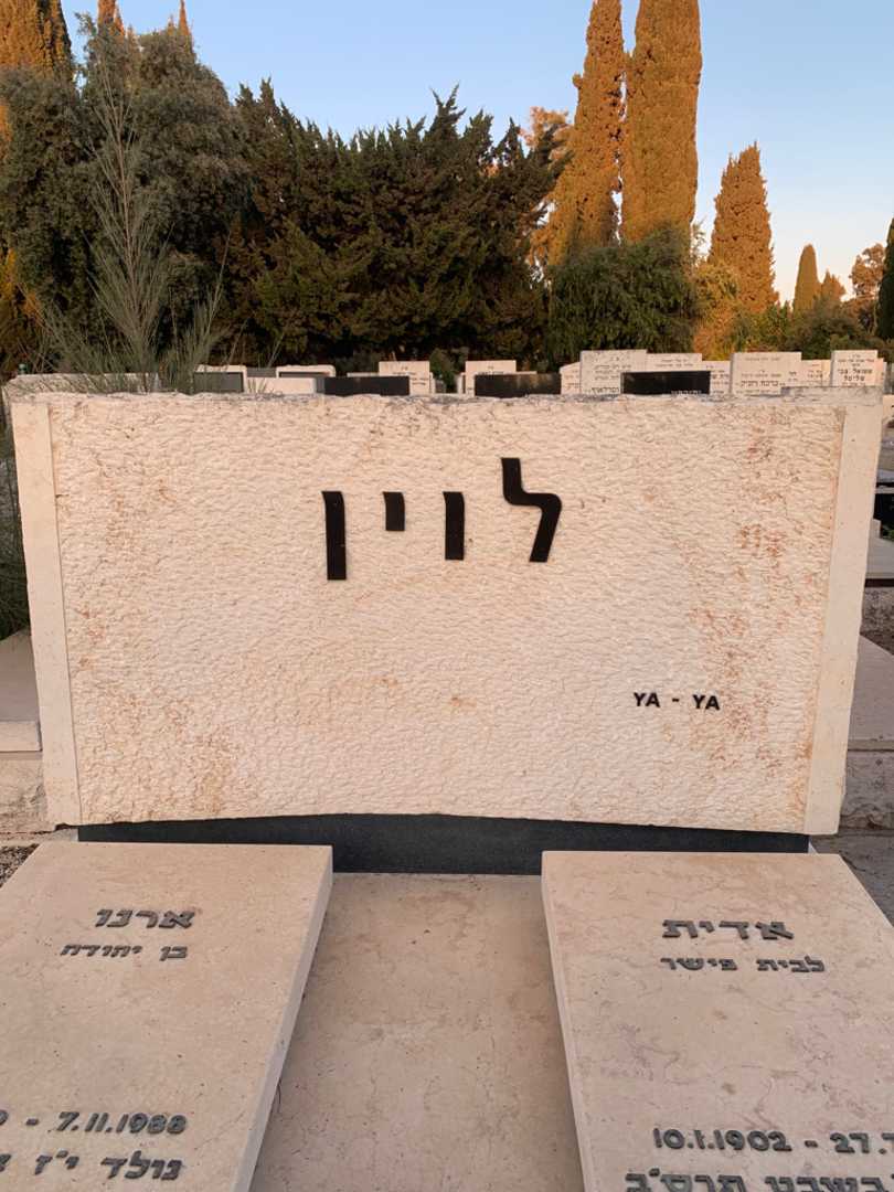 קברו של ארנו לוין. תמונה 1