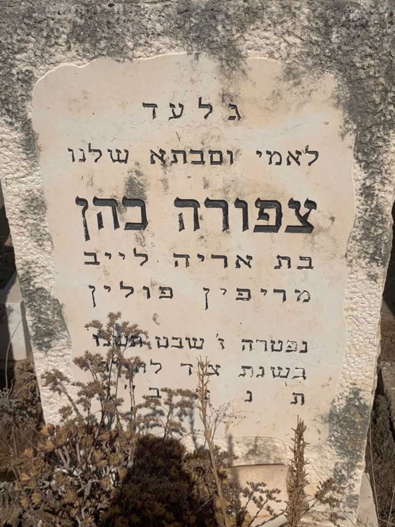 קברו של צפורה כהן. תמונה 1