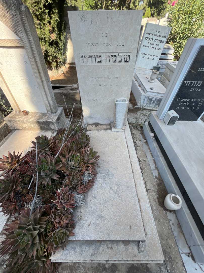 קברו של שלמה בז׳רנו