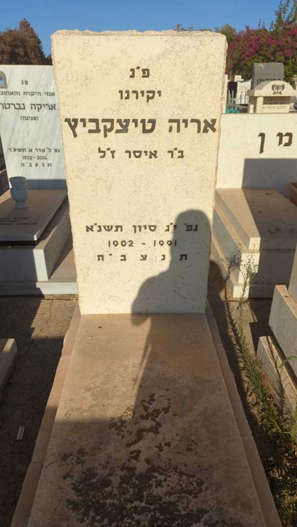 קברו של אריה טיצקביץ