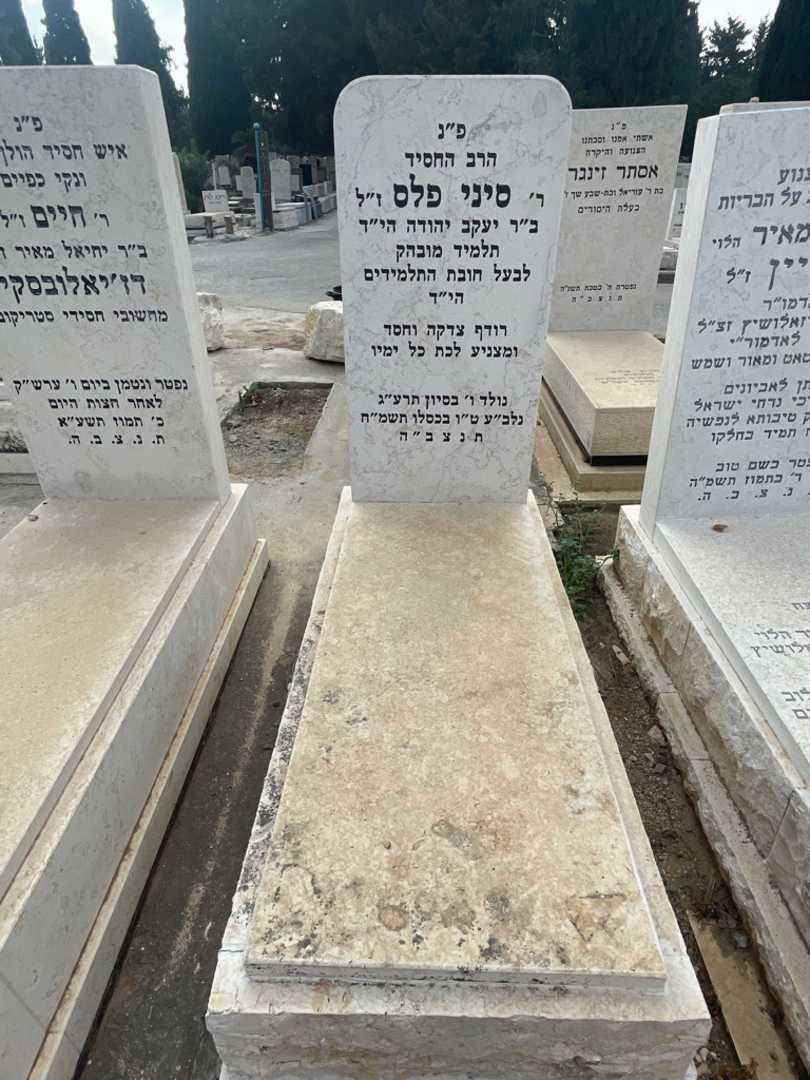 קברו של סיני פלס