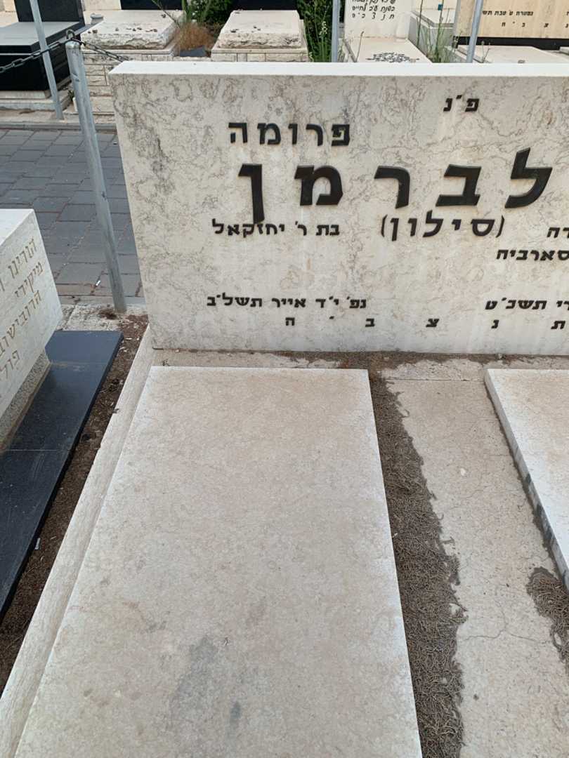 קברו של פרומה זילברמן סילון. תמונה 2