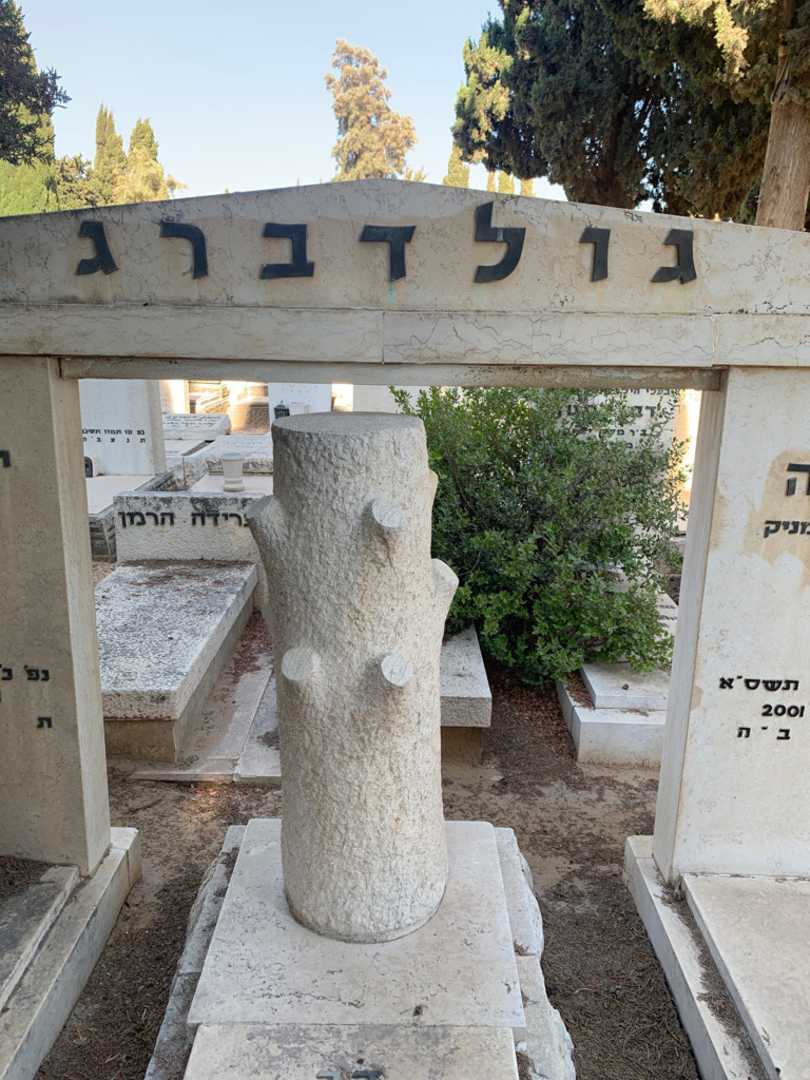 קברו של דבורה גולדברג. תמונה 1