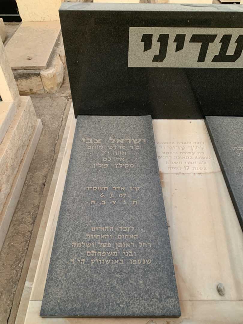 קברו של ישראל צבי עדיני. תמונה 2