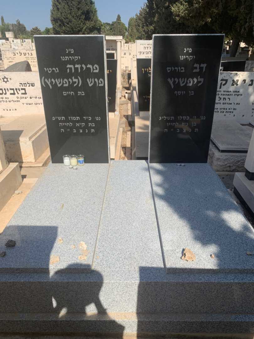 קברו של דב "בוריס" ליפשיץ. תמונה 2