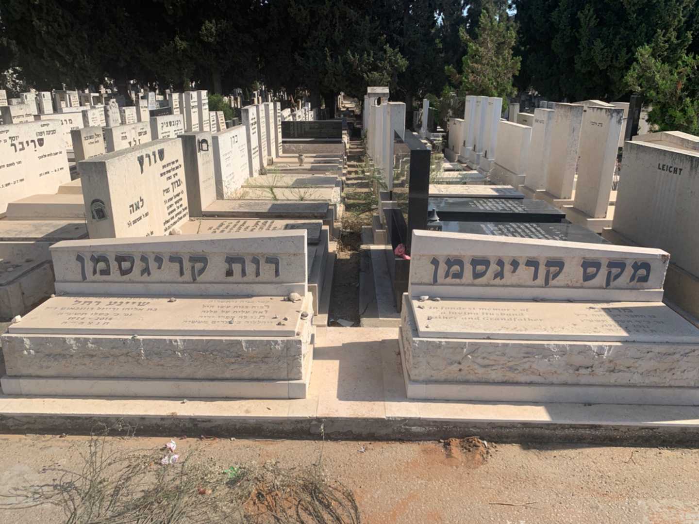 קברו של רות קריגסמן. תמונה 2