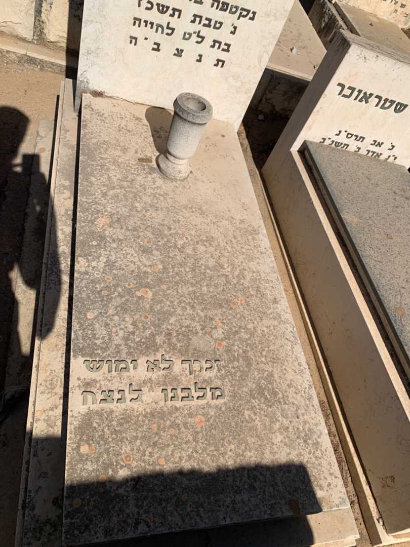 קברו של שרה סלי גיטמן. תמונה 2