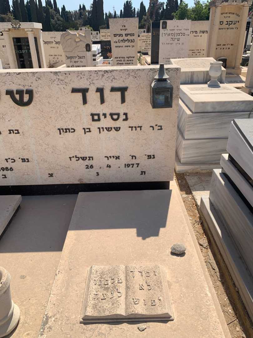 קברו של נסים דוד. תמונה 2