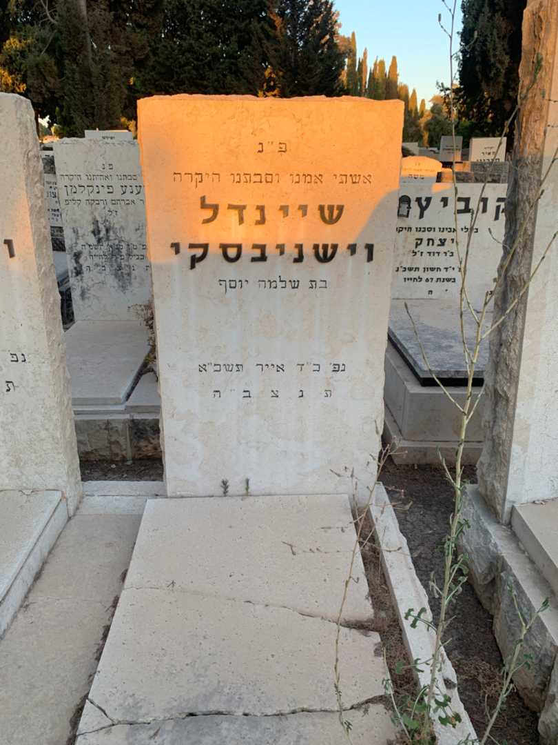 קברו של שיינדל וישניבסקי. תמונה 2