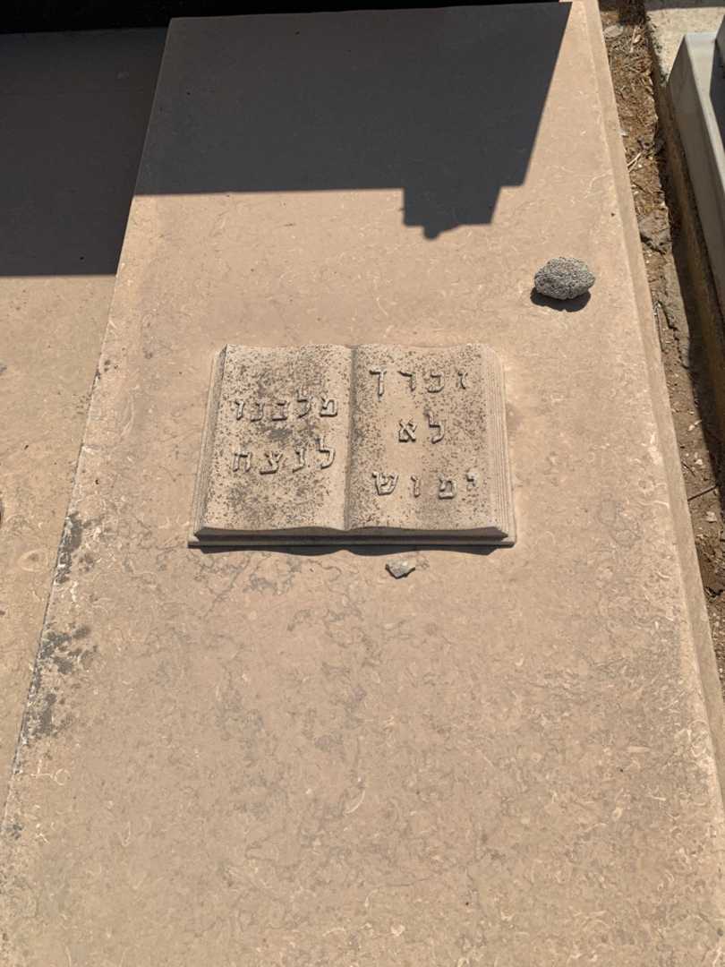 קברו של נסים דוד. תמונה 3
