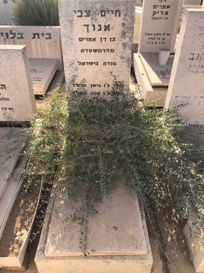 קברו של חיים צבי אנוך