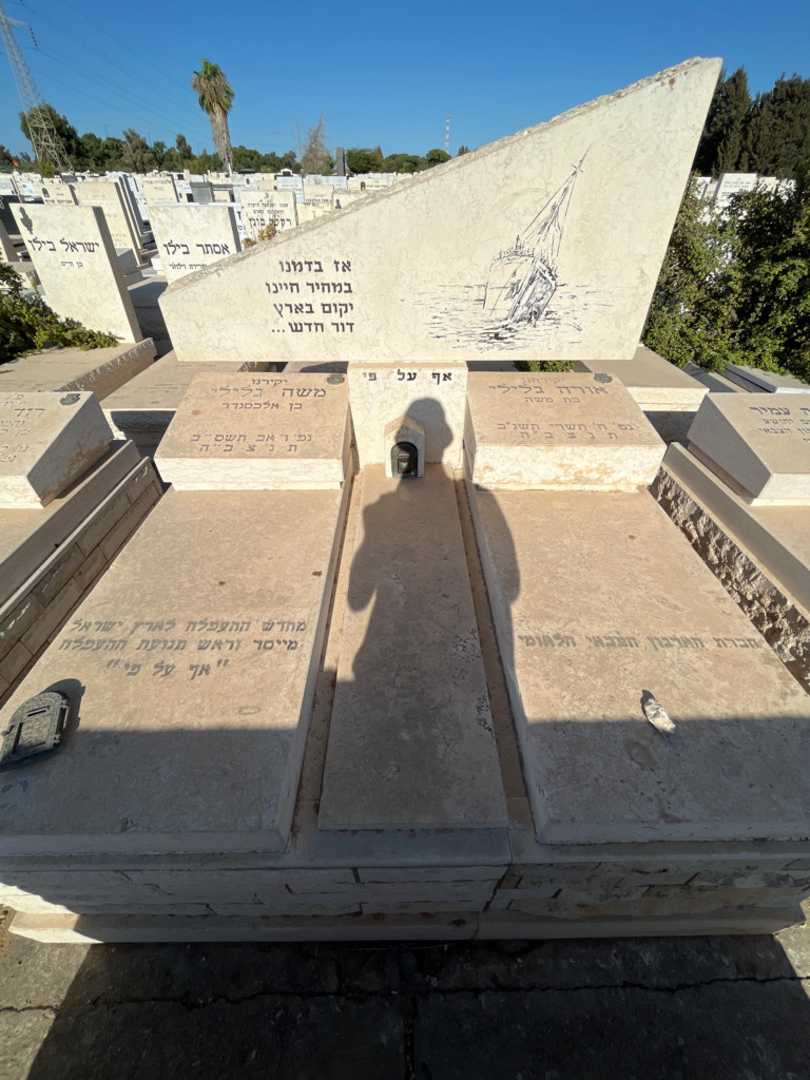 קברו של משה גלילי. תמונה 2