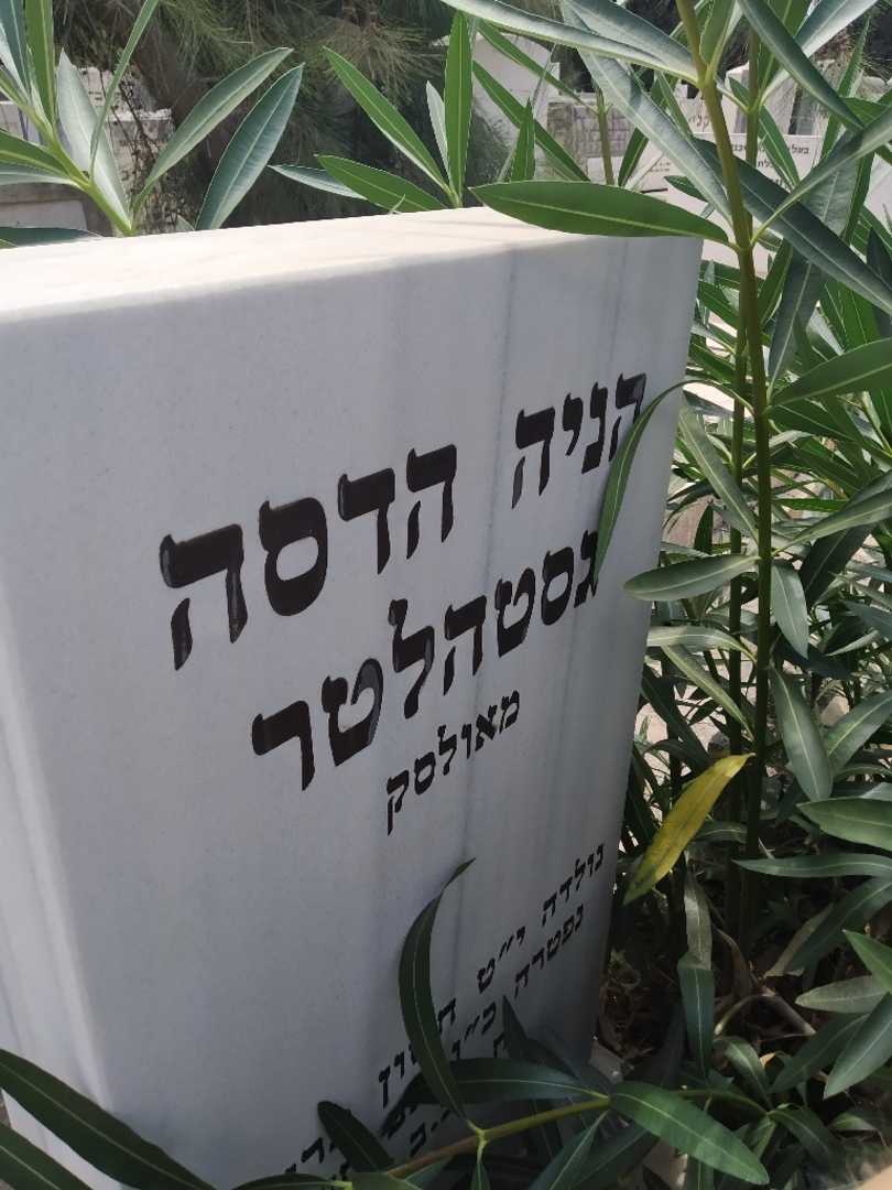 קברו של הניה הדסה גסטהלטר. תמונה 2