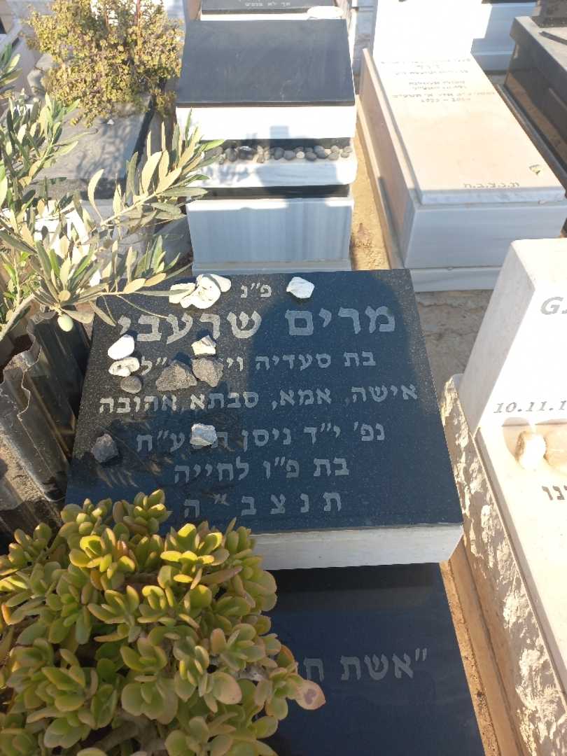 קברו של מרים שרעבי. תמונה 2