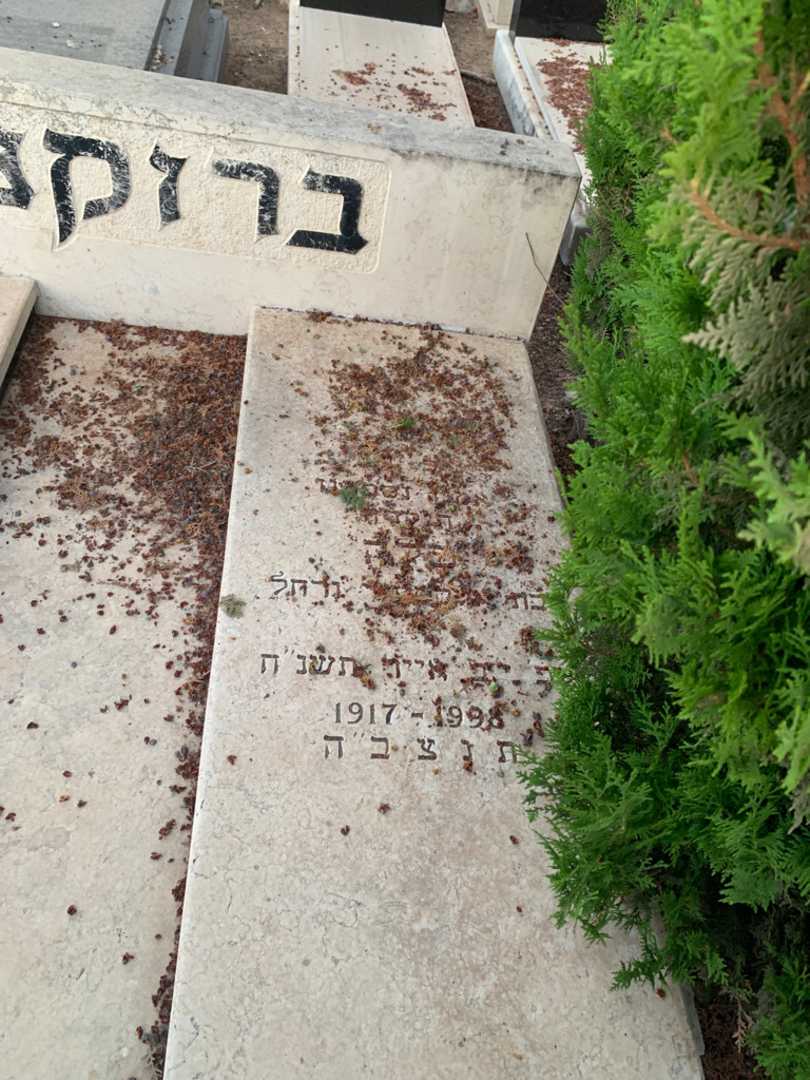 קברו של פלה ברוקנר. תמונה 2