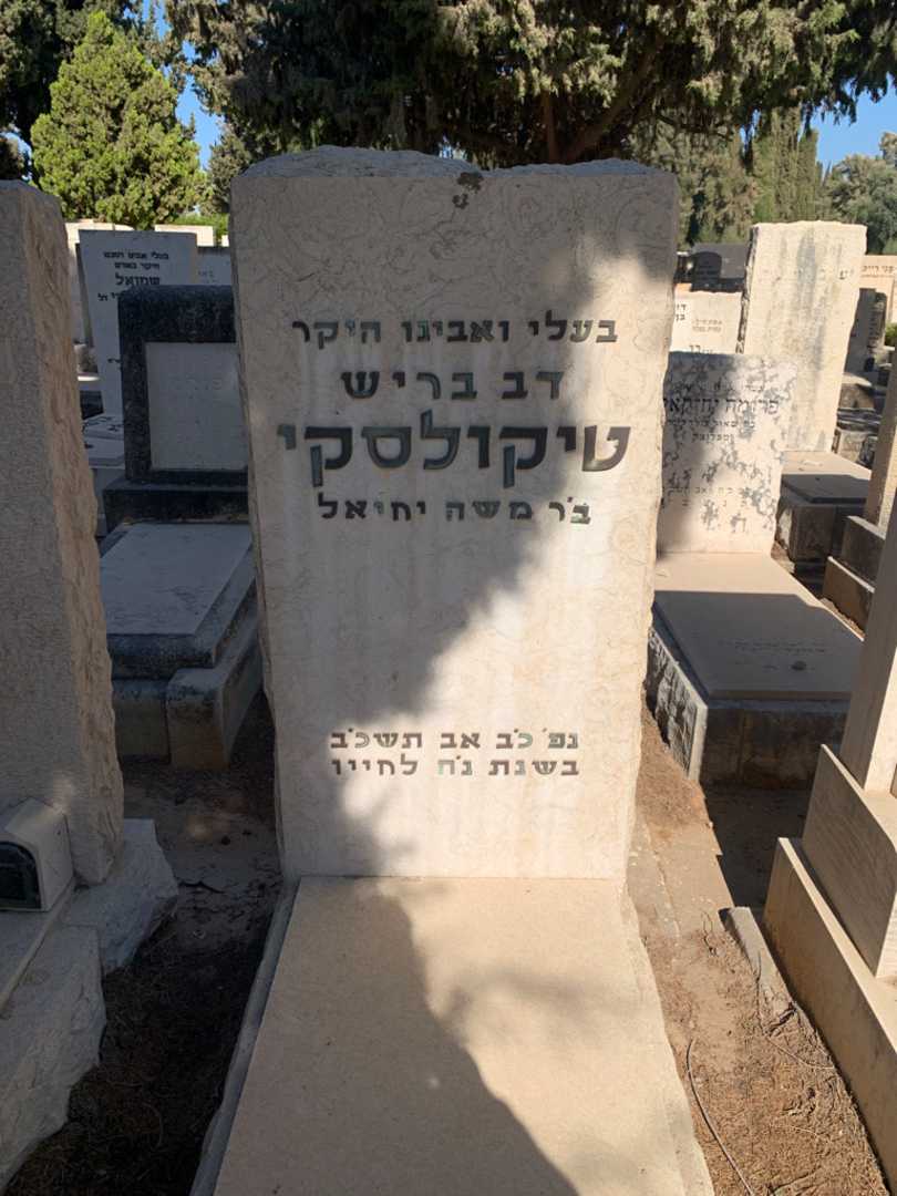 קברו של דב בריש טיקולסקי. תמונה 1