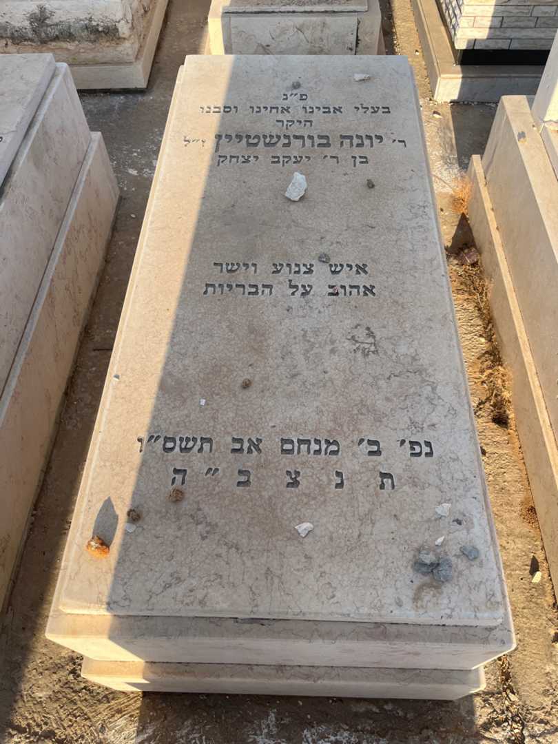 קברו של יונה בורנשטיין. תמונה 1