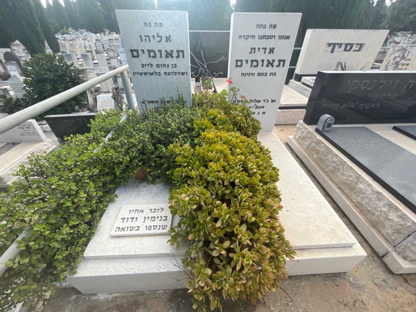 קברו של אדית תאומים. תמונה 2