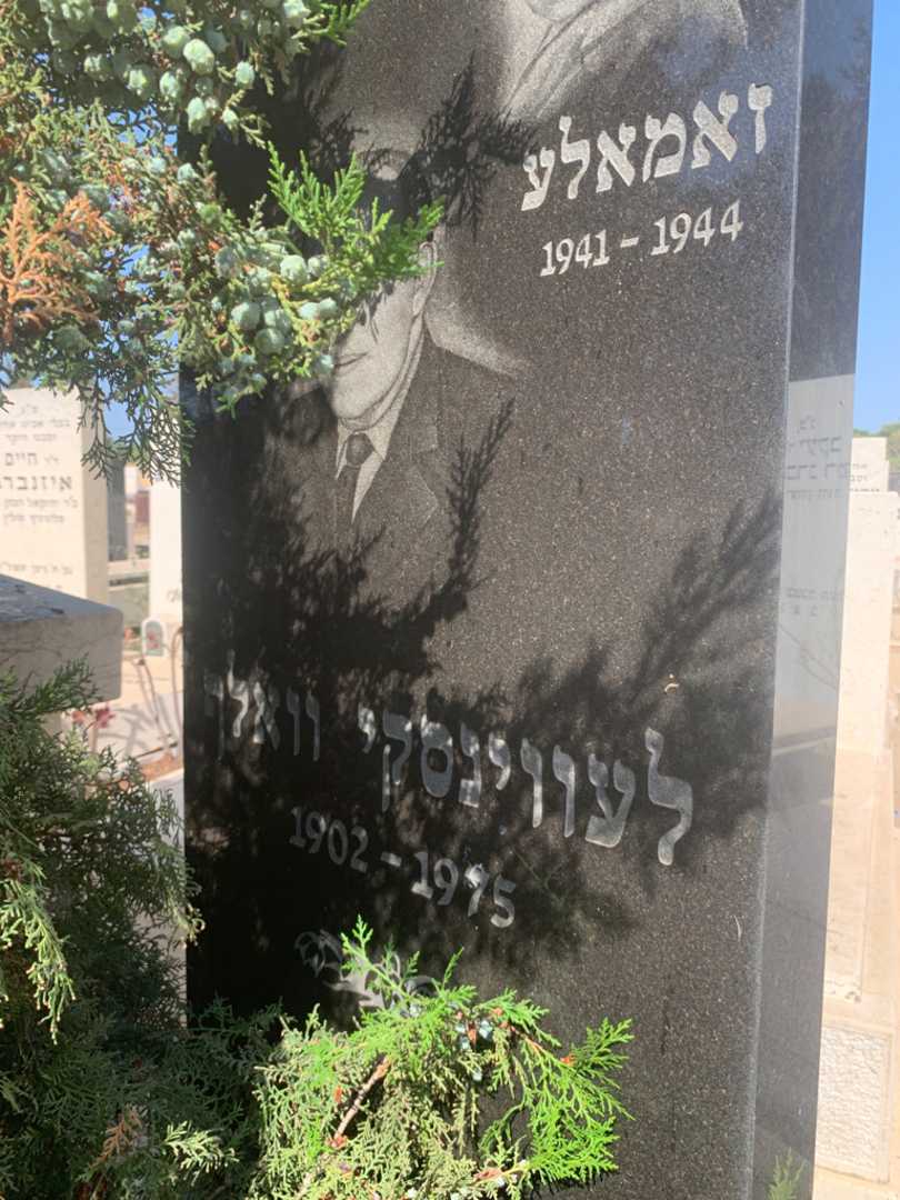 קברו של וואלך לעווינסקי. תמונה 2