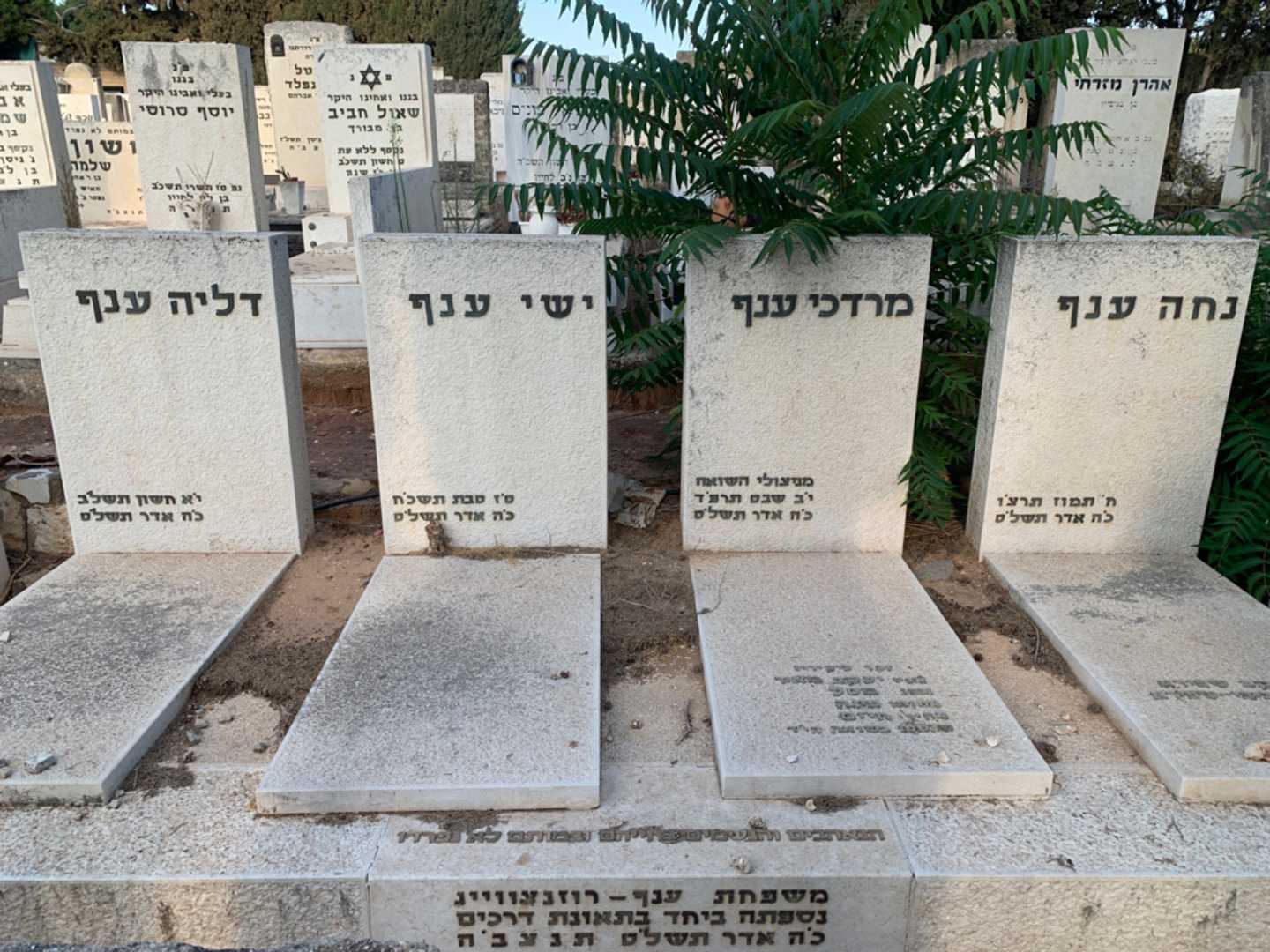 קברו של נחה ענף. תמונה 1