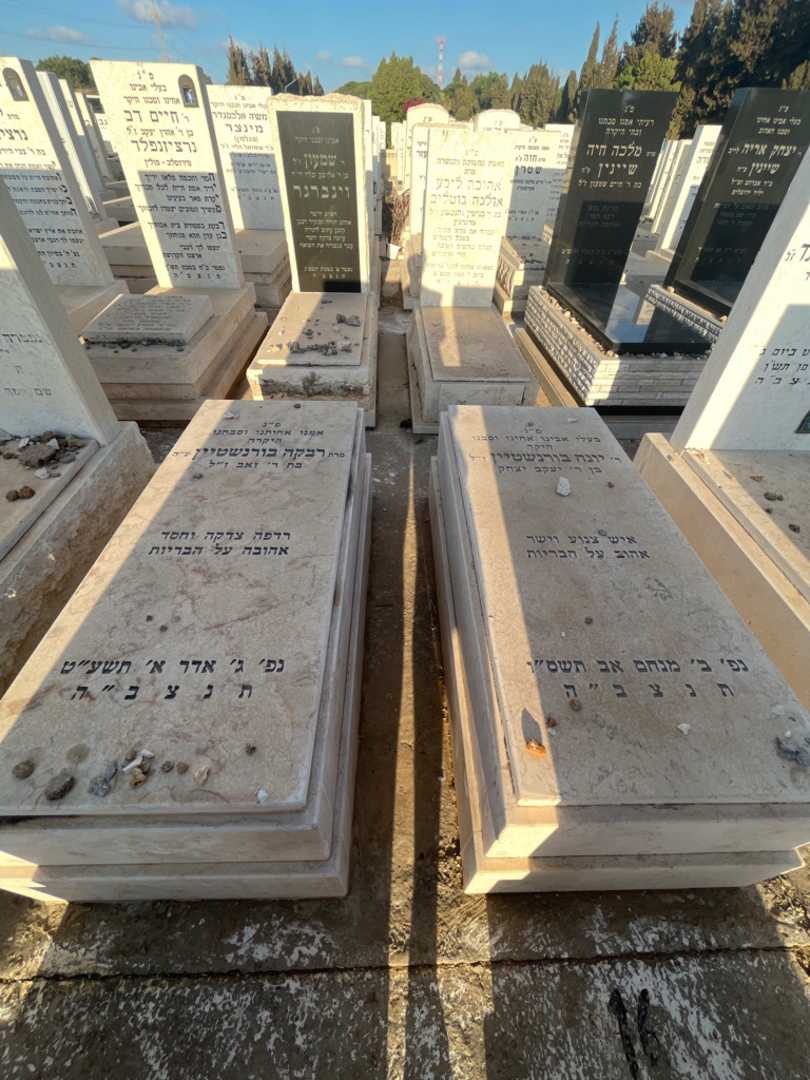 קברו של יונה בורנשטיין. תמונה 2