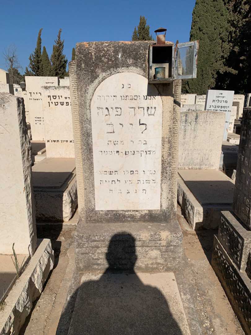 קברו של שרה פיגה לייב
