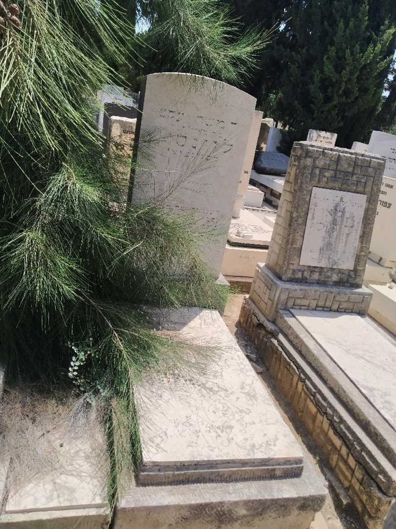 קברו של משה יעקב לוינסון