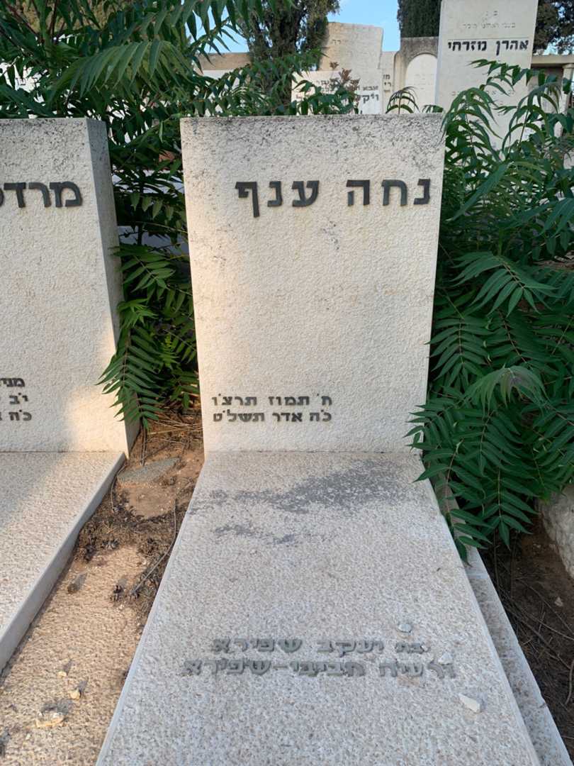 קברו של נחה ענף. תמונה 2