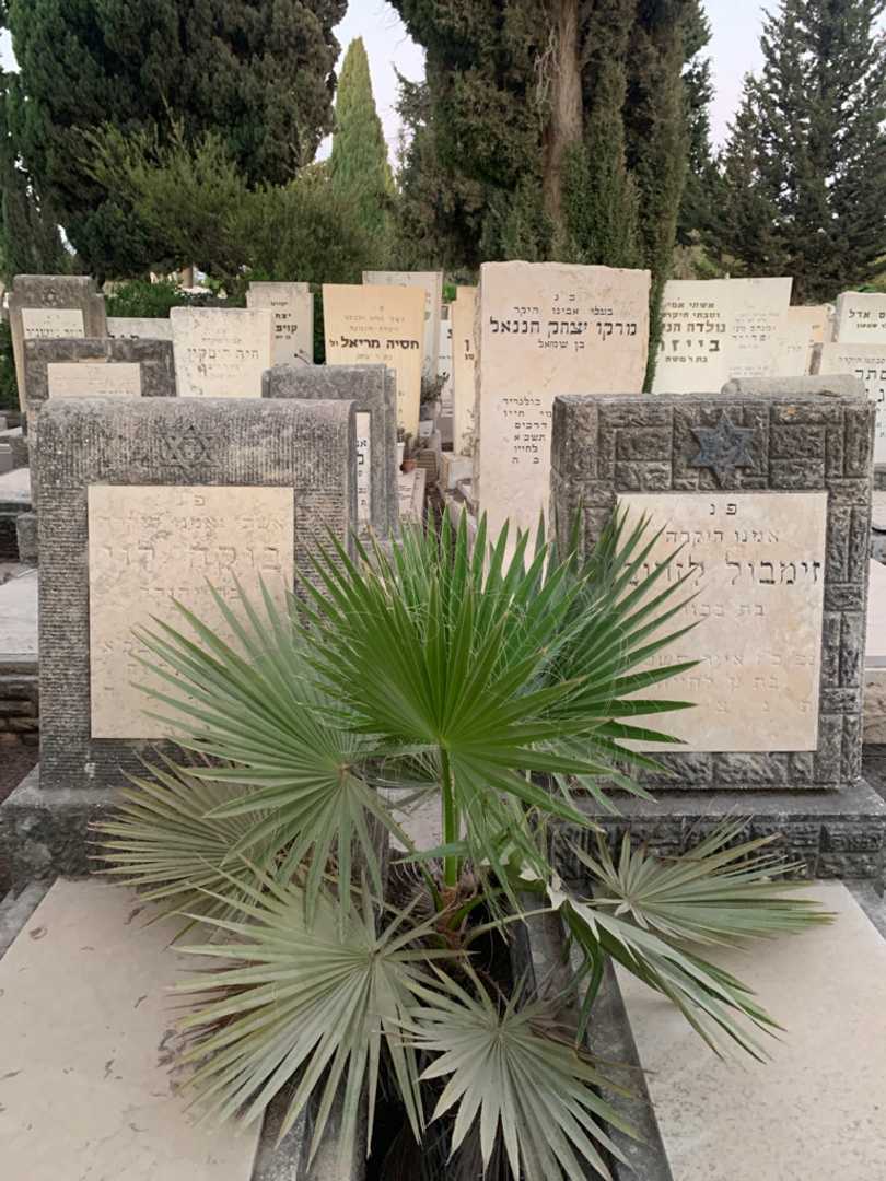 קברו של זימבול לזרוב. תמונה 1