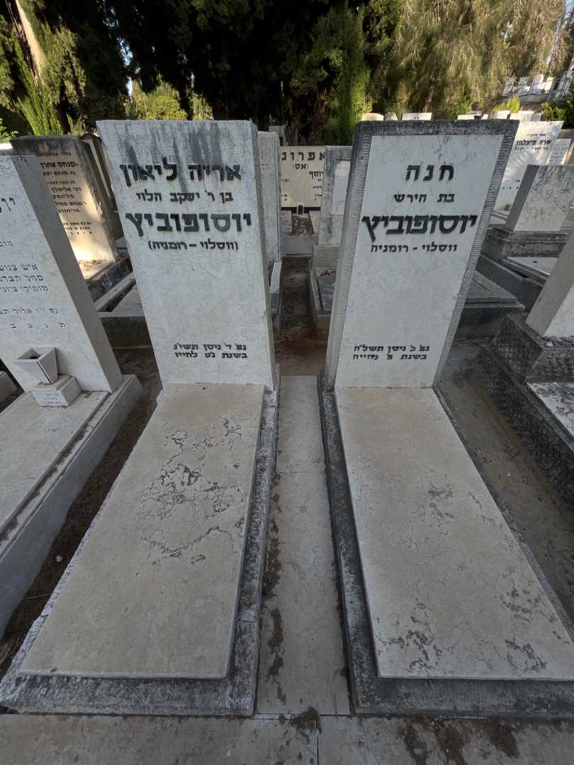 קברו של חנה יוסופוביץ. תמונה 1