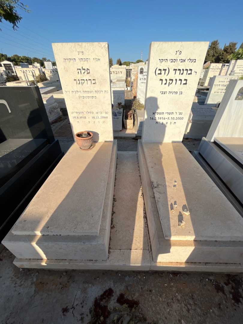 קברו של ברנרד "דב" ברוקנר. תמונה 1