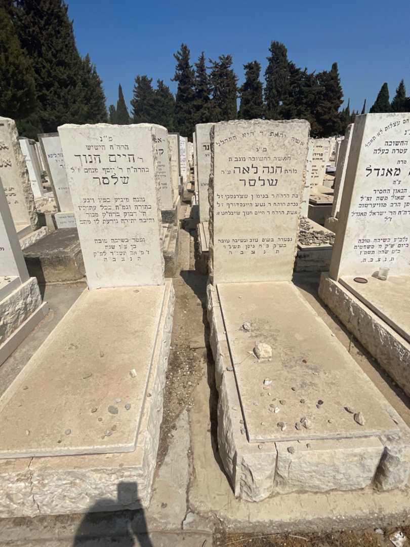 קברו של חיים חנוך שלסר. תמונה 1