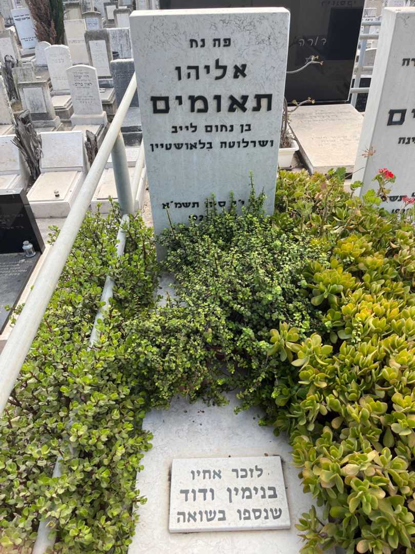 קברו של אליהו תאומים. תמונה 2