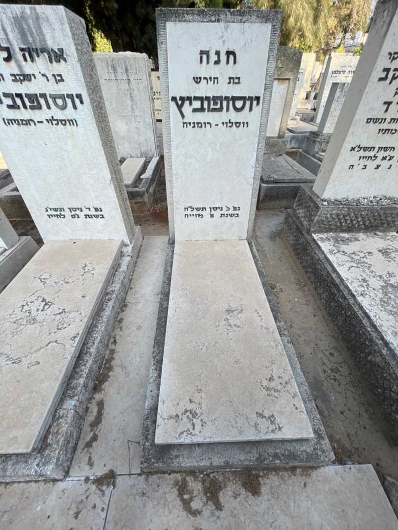 קברו של חנה יוסופוביץ. תמונה 2