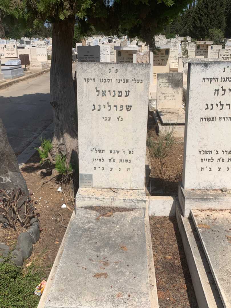 קברו של עמנואל שפרלינג. תמונה 1