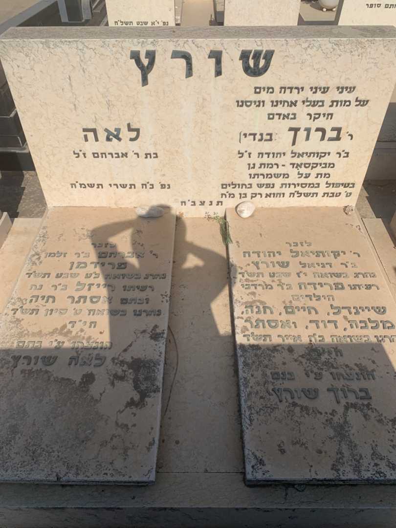 קברו של חנה שורץ. תמונה 2