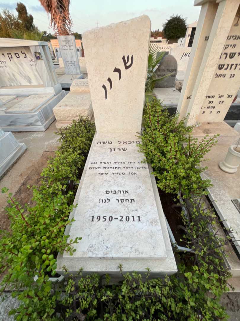 קברו של מיכאל משה שרון