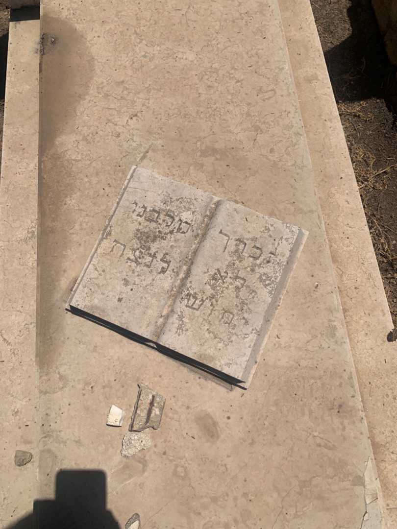 קברו של חנה גולדנברג. תמונה 2