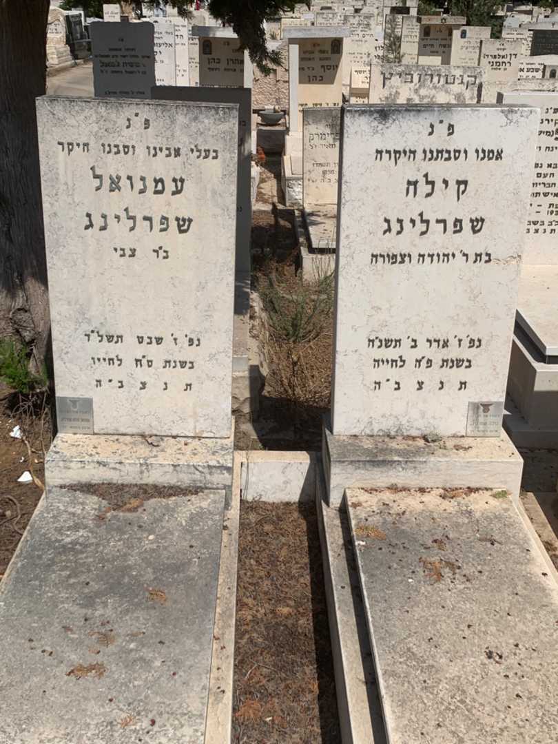 קברו של עמנואל שפרלינג. תמונה 2