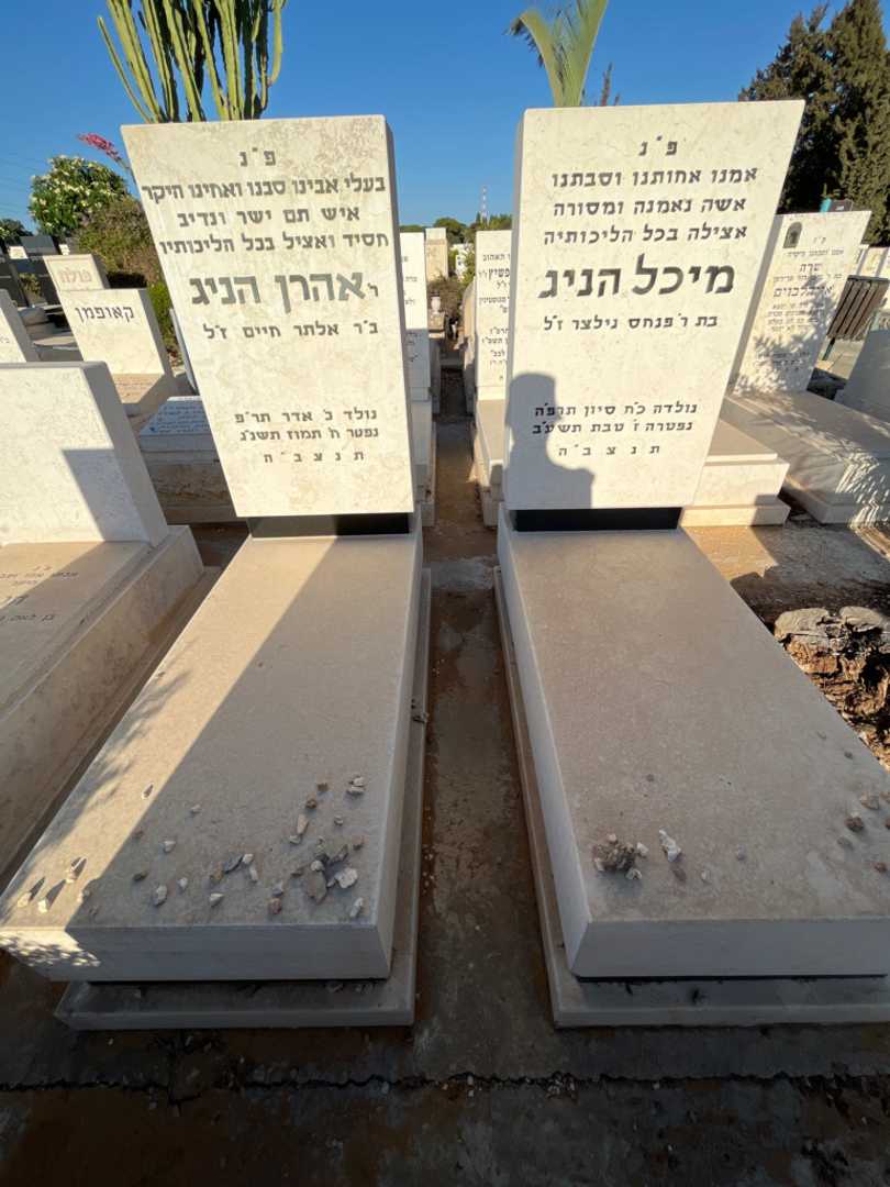 קברו של אהרן הניג. תמונה 1