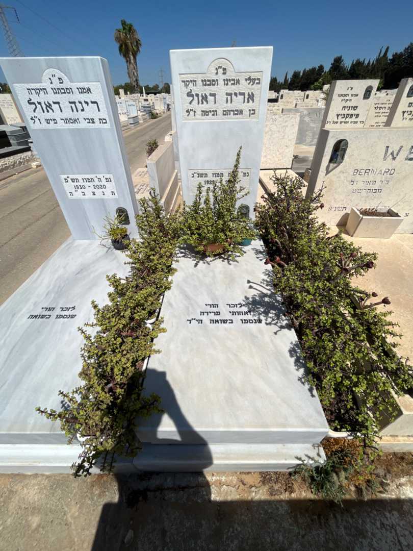 קברו של אריה ראול. תמונה 2