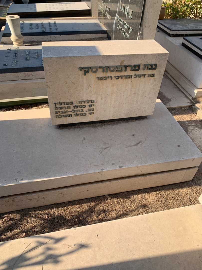 קברו של ננה פרופסורסקי. תמונה 1