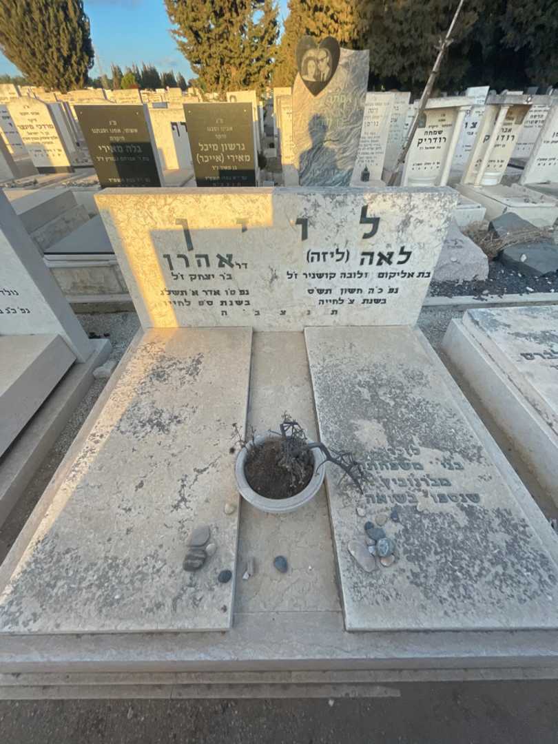 קברו של לאה "ליזה" לוין. תמונה 1