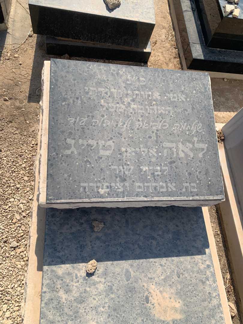 קברו של לאה "אליאן" טייג שור. תמונה 2