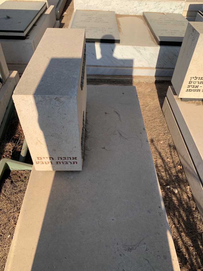 קברו של ננה פרופסורסקי. תמונה 2