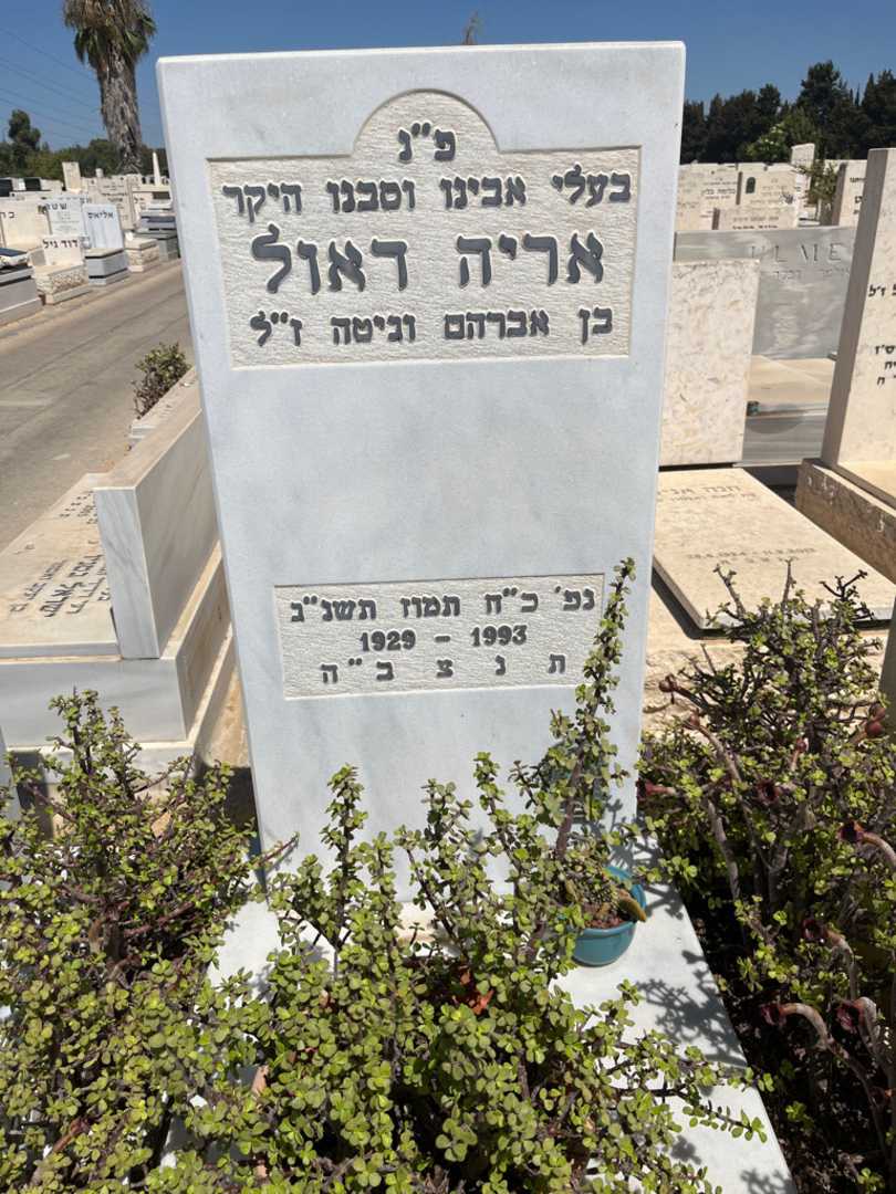 קברו של אריה ראול. תמונה 3