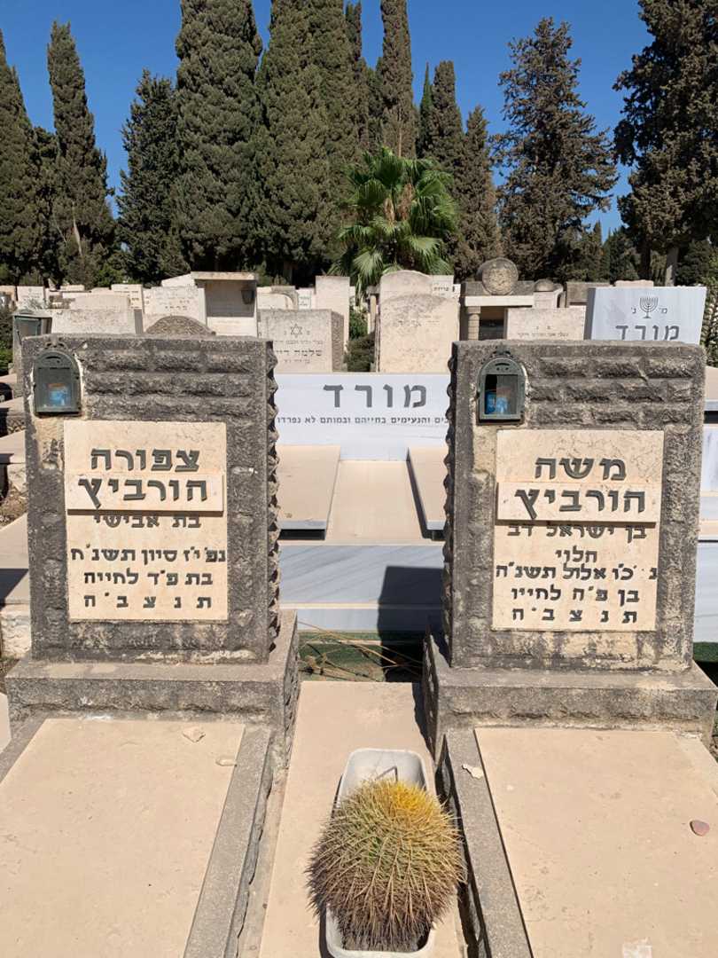 קברו של צפורה הורביץ. תמונה 1
